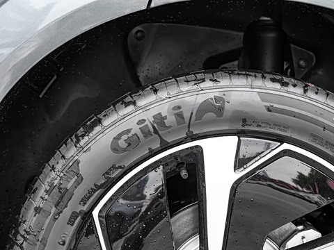 2025�� DM-i 205�캽Pro��