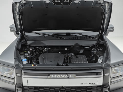 2026�� 255km ������