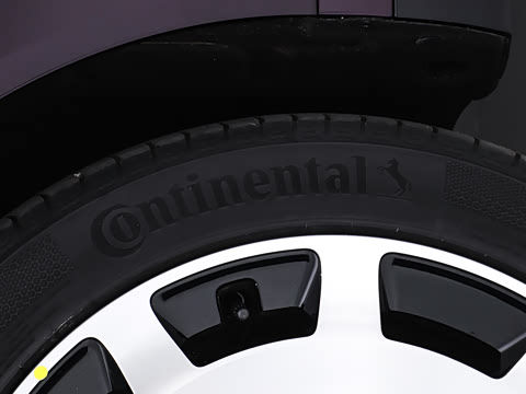 2026�� ���� 300Max Ǭ����