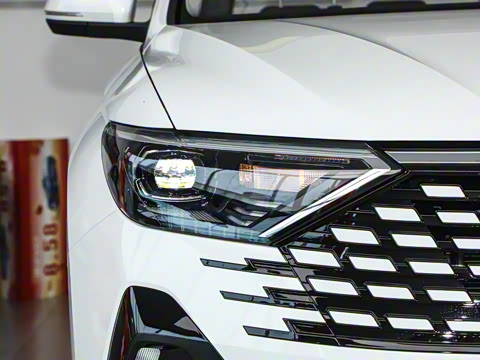 2026�� 280TSI �ֶ��ȷ��