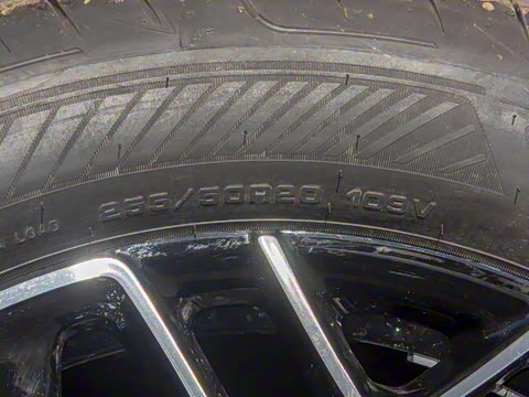 2026�� Elite ���̰�