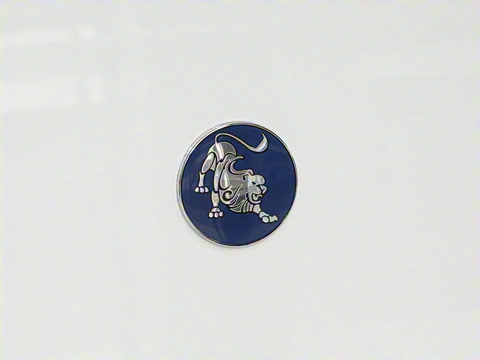 2025�� 410km Ӫ�˰��׼�� 9��