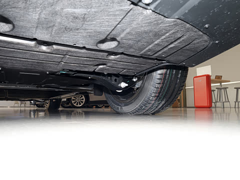 2026�� Max �����ɹ��� ����