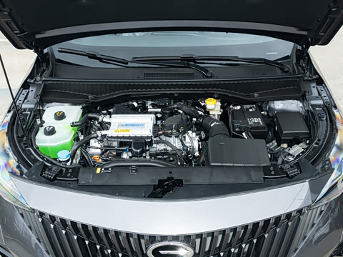 2026�� Ӱ�� 270T ������