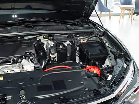 2026�� 1.6T Ԧ����