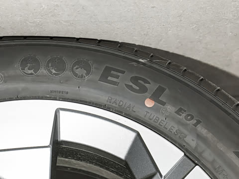 2026�� ������������
