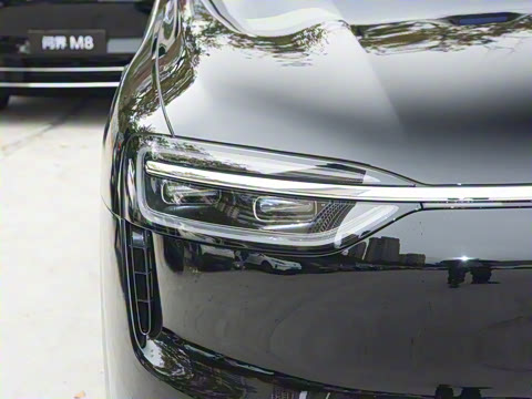 2026�� ���� Max�������� 6��