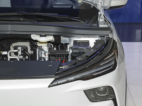 2025�� 565km �����