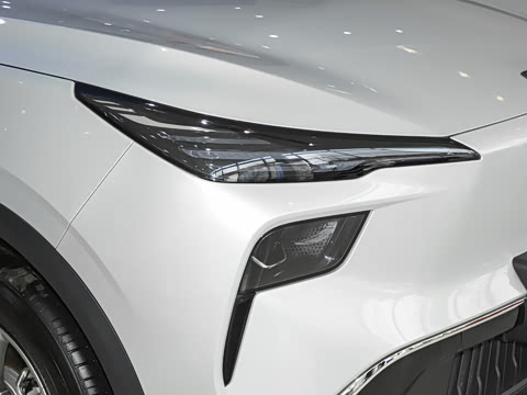 2025�� 565km �����