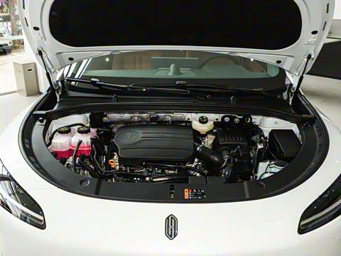 2025�� ���� Max