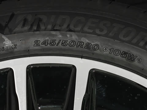 2025�� ���� Max