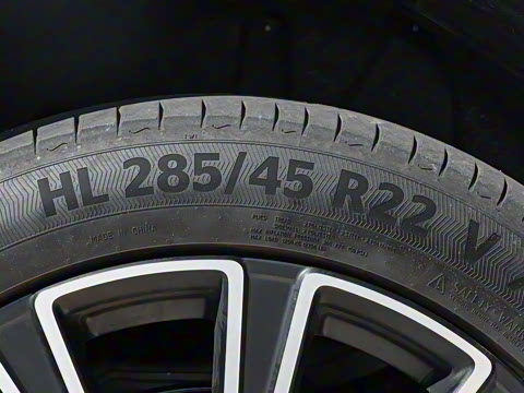 2025�� ������