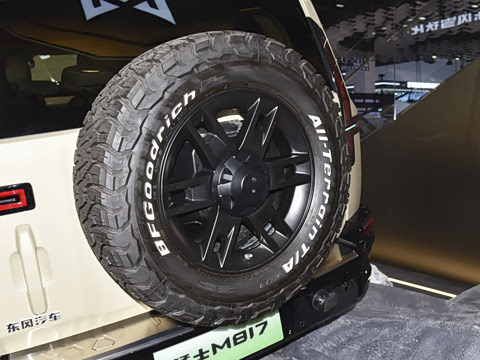 2025�� Max+