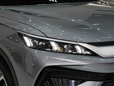 2026�� DM-i 220KM׿Խ��