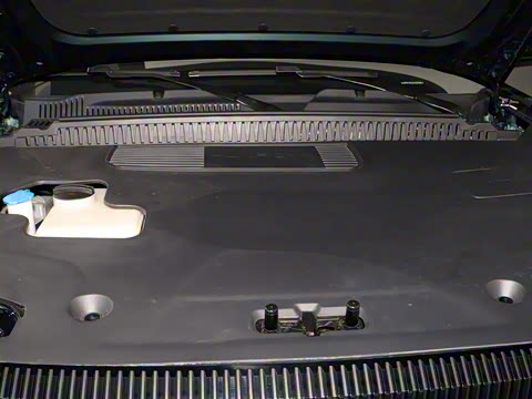 2025�� 520���а�