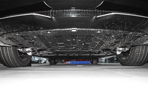 2025�� Elite�����