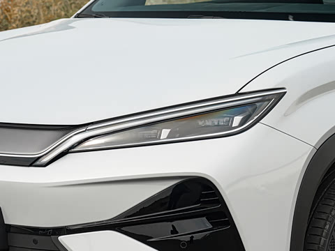 2026�� DM-i 205KM ��Խ��
