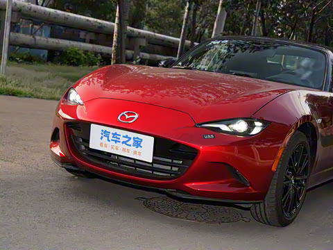 2025�� �ֶ��������� ī�����