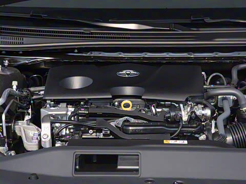 2026�� 2.0GVP ������