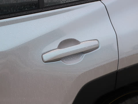 2026�� 2.0L ���ܵ��˫�� PRO