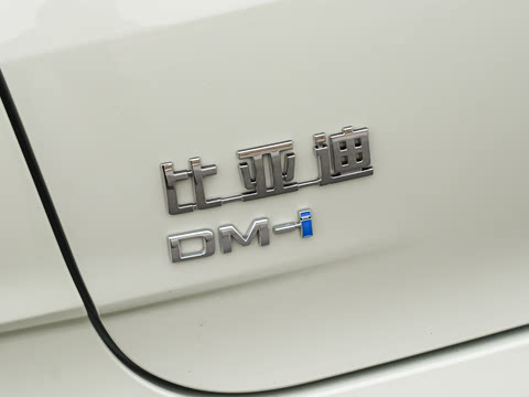 2026�� DM-i 210KM��Խ��