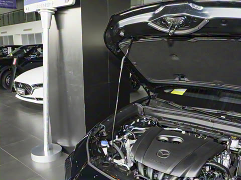 2025�� 2.0L �ֶ�������