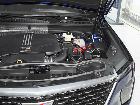 2024�� �Ŀ� 25T ����������