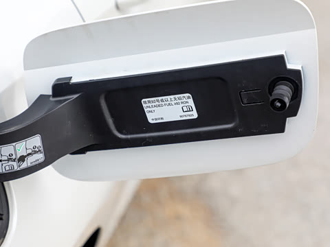 2025�� 25T ������