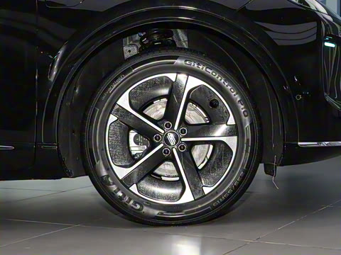 2025�� ���� Max