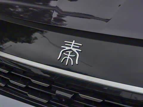 2026�� DM-i 128KM������