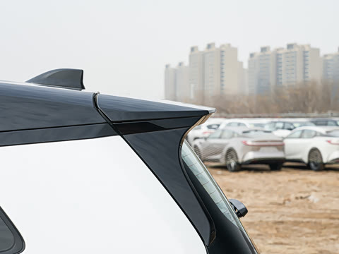 2026�� ˫�� 2.5L �����콢��