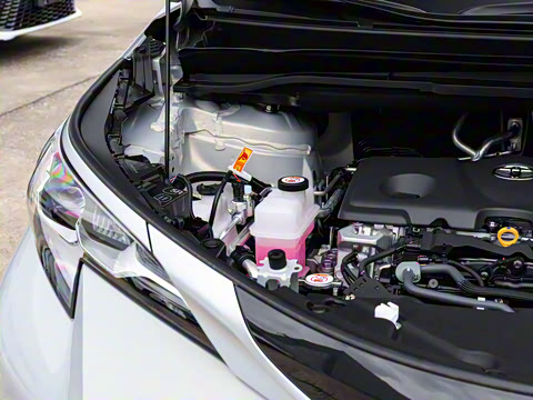 2026�� 2.5L ˫����������