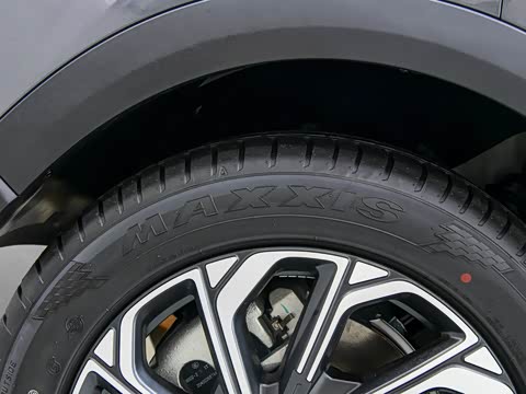 2026�� 220 ������������