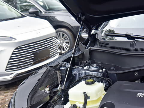 2026�� 1600 ������Turbo�� 