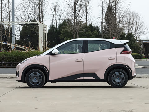 2025�� �Ǽݰ� 305km ������