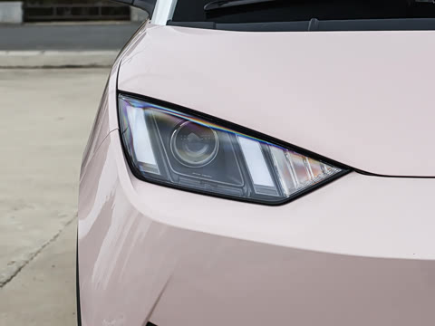 2025�� �Ǽݰ� 305km ������