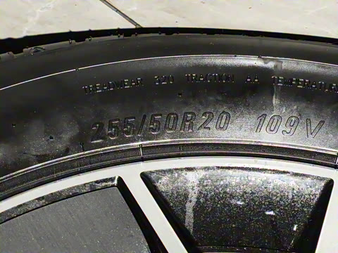 2025�� Ǭ�� Max 6��