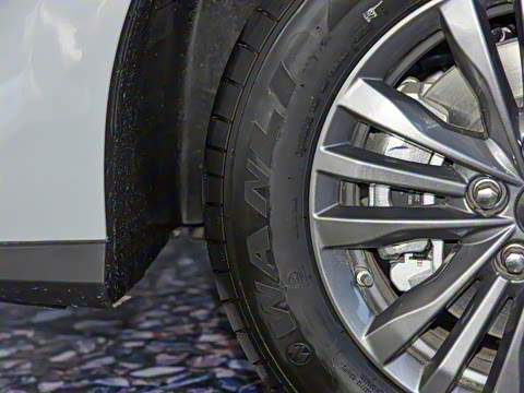 2025�� �Ŀ� �캽��