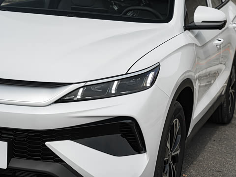 2026�� �ɳ۰� DM-i 220KM������