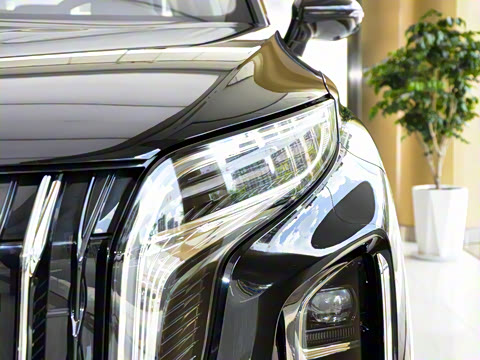 2025�� 2.0T PHEV ���������� 7��