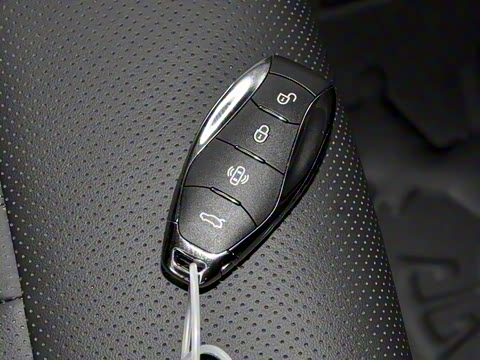 2025�� 2.0T PHEV ���������� 7��