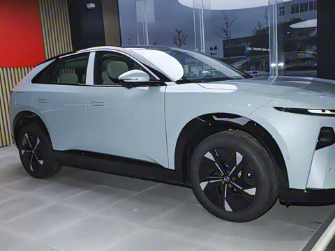 2025�� ����600 Pro