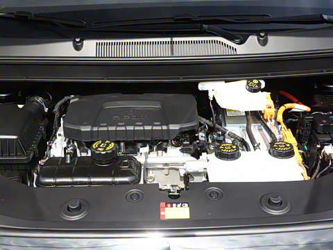 2025�� ��� 125km ������