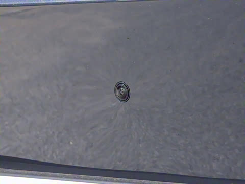 2025�� 600������