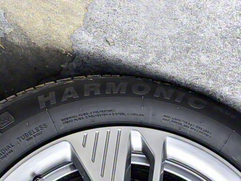 2025�� 565km ������