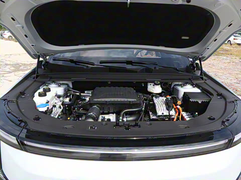 2026�� 121km ������ 5��