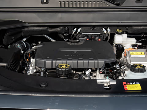 2026�� ��� 125km ������ 