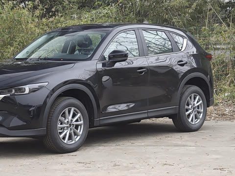 2025�� 2.0L �Զ�����������