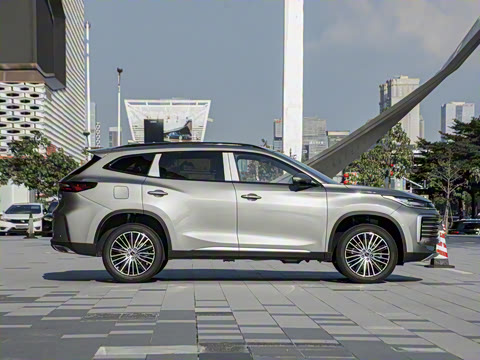 2025�� 300T ������ҹ��