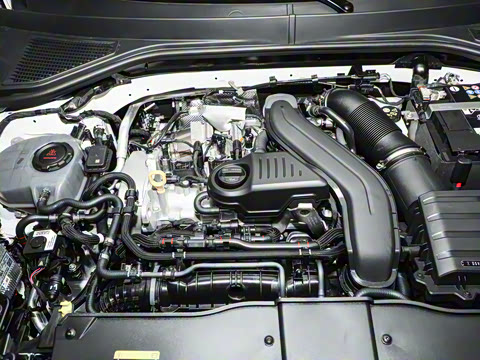 2026�� 300TSI DSG���������